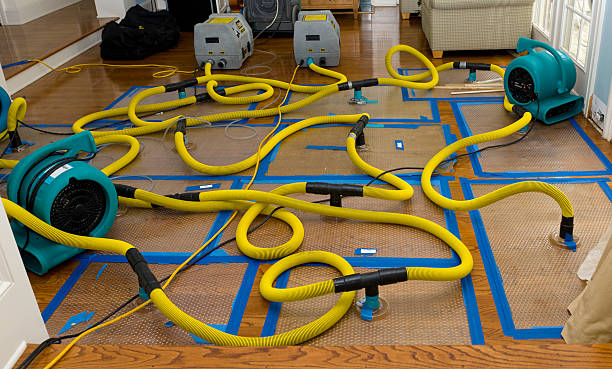 Professional Water Damage Repair technician working in Arapahoe, NC